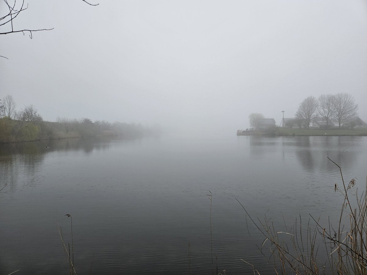 AnitaPeeters's tweet photo. Druk maar #vruchtbaar #wknd de #natuur en #temperatuur zijn #fantastisch momenteel Genieten ook die #mist in de ochtend zoveel #schoonheid de #geur van #Lente #plukdedag #pakjemomenten #positiviteit #vitamientjes #floraenfauna #fotografie #buitenleven #Satnam #Namasté 🙏🍀💝 https://t.co/FvQ1vmvtAs