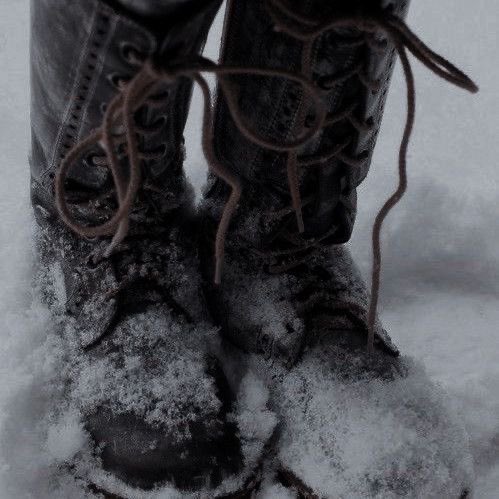 tyler neøn tweet media