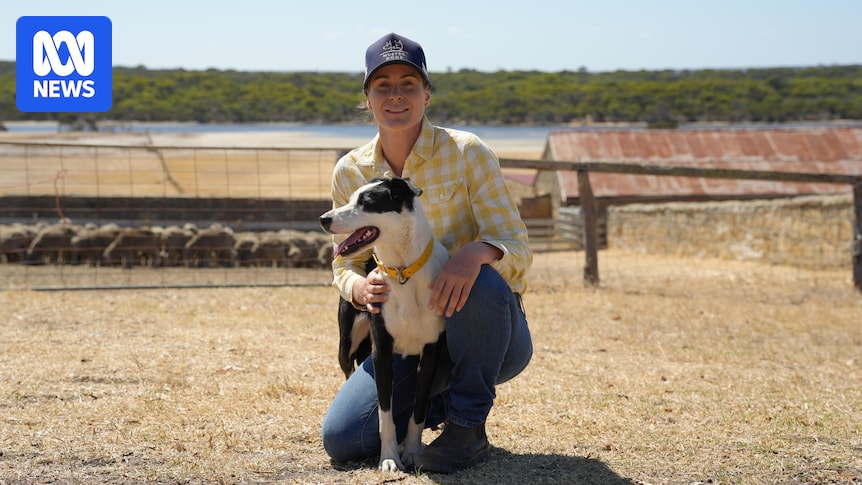 HumanisingMen's tweet image. WA farmer crowned champion in season four of Muster Dogs Australia abc.net.au/news/2026-03-0… #MusterDogs #Kelpies #BorderCollies