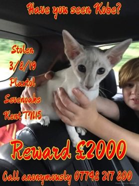 Nutmeg's Crew🌻🇺🇦 tweet media