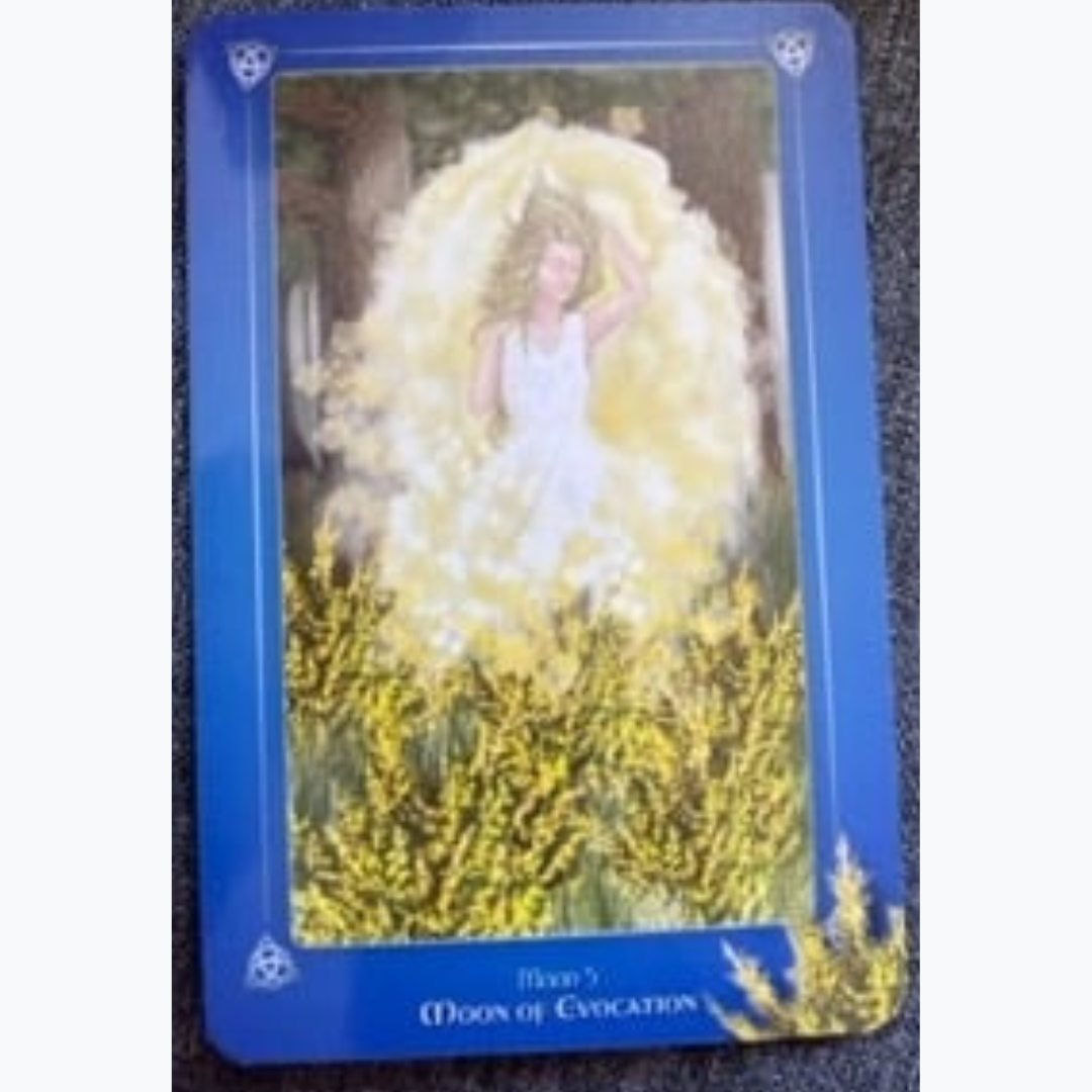 From The Avalonian Oracle: Moon of Evocation

Affirmation: "... I possess all of the resources I need to meet any challenge. ..."

The Avalonian Oracle: Spiritual Wisdom from the Holy Isle is available here: tinyurl.com/TheAvalonianOr…

#avalonianoracle #pagan #oracle #deck #celtic