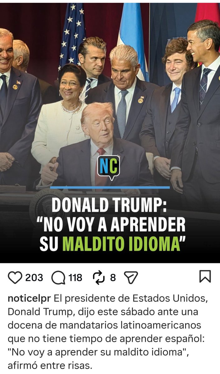 Boricua Despierto tweet media