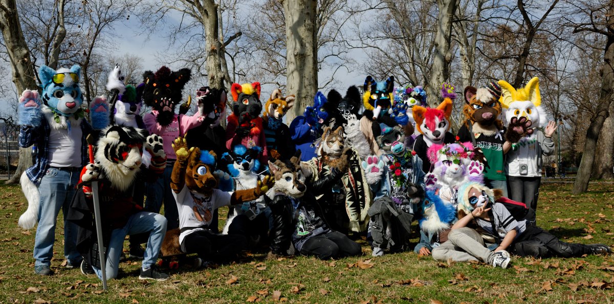 bluestarbluecat's tweet photo. A little walk around Margaret Island for Women's Day ^^💐 https://t.co/NJblOXS7P8