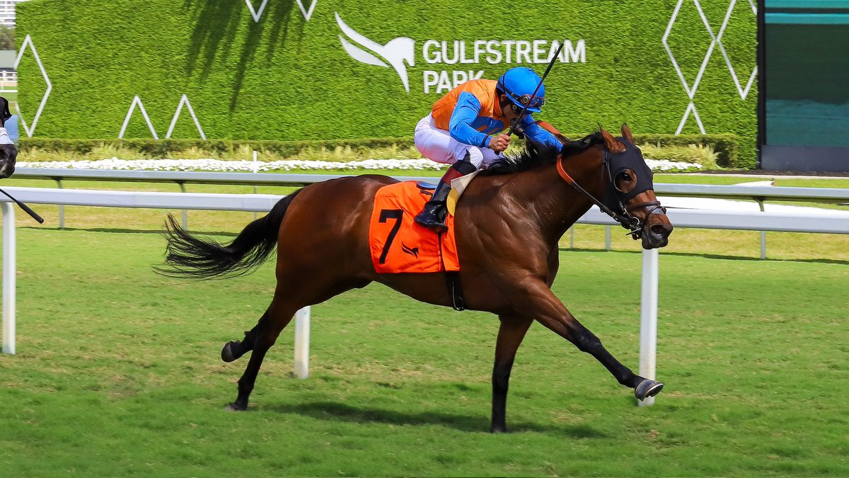 Gulfstream Park tweet media