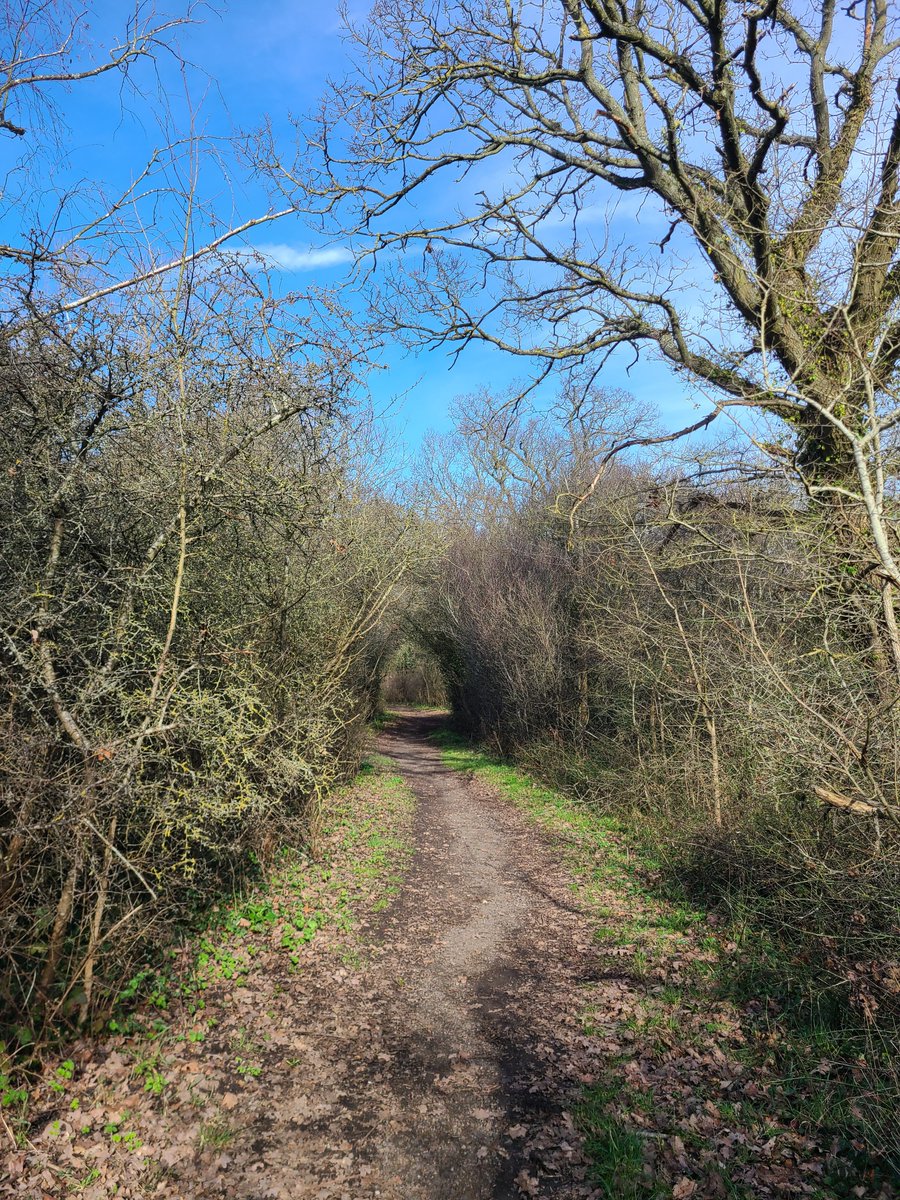 Esther Murray #wearetheuniversity 🕷🇪🇺 tweet media