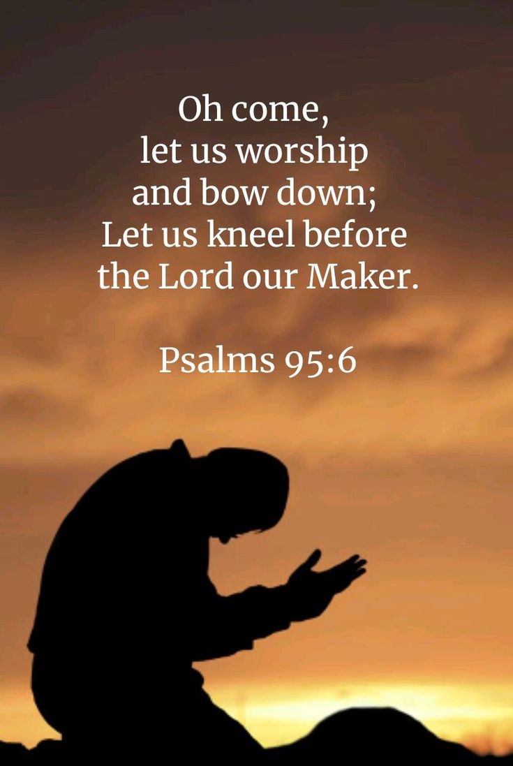 One day every knee will bow
and every tongue will confess:
That Jesus Christ is Lord.