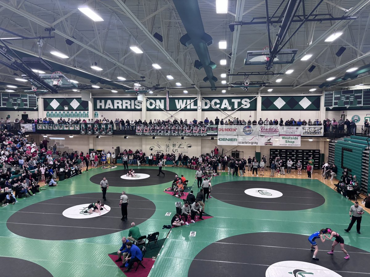 Harrison Wildcats Athletics tweet media