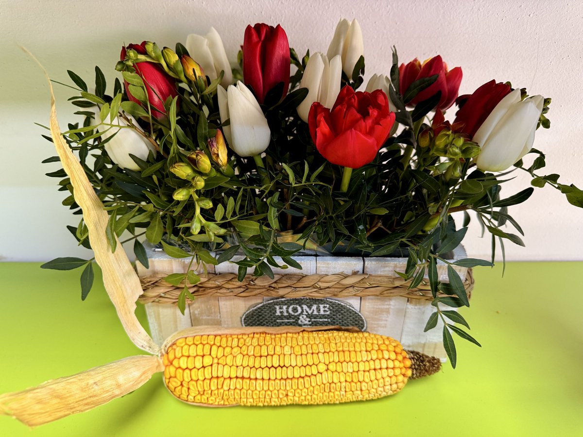 LANDMAR / ROMANIA 🇹🇩 tweet media