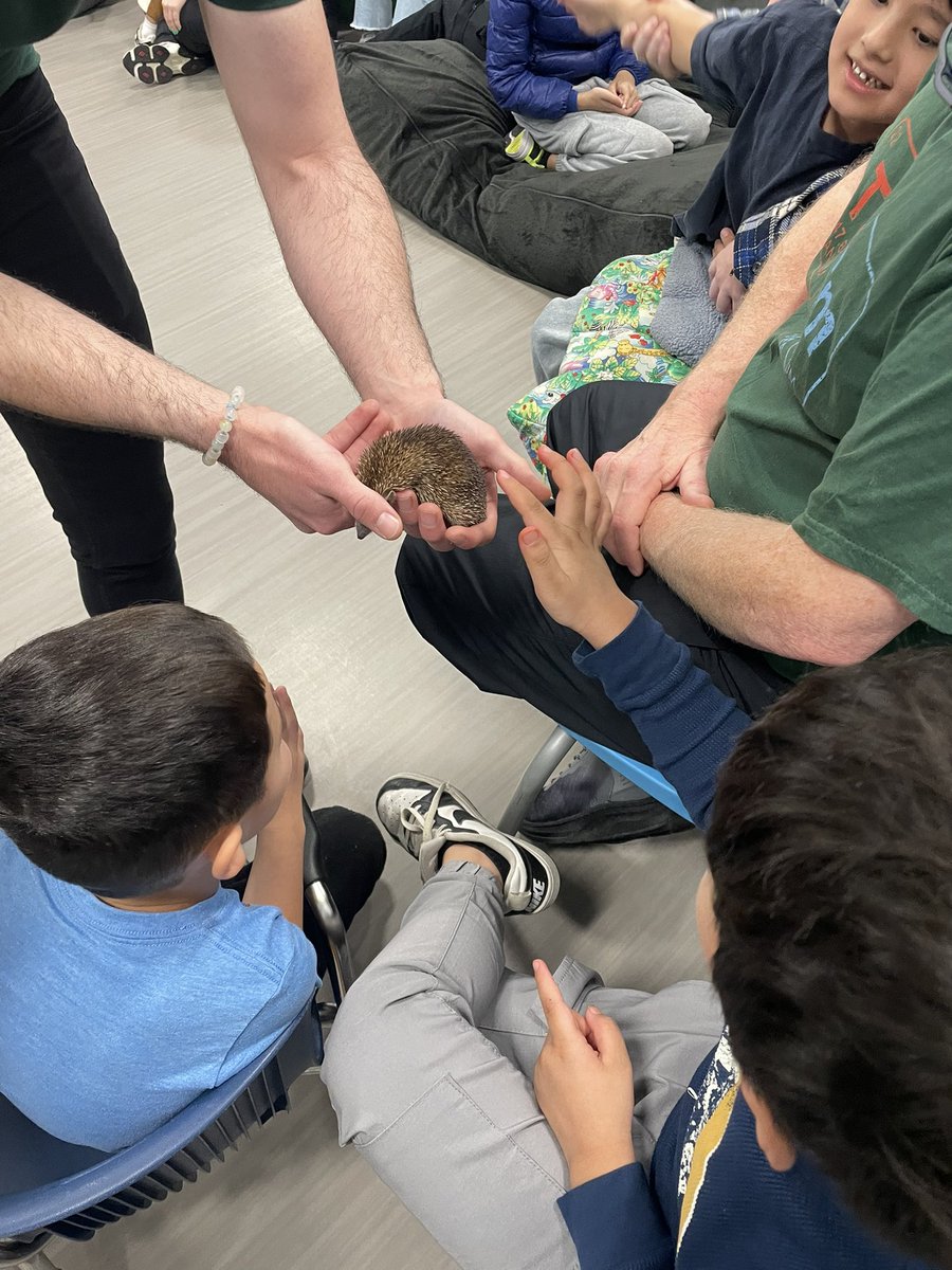 Mr. Booth tweet media