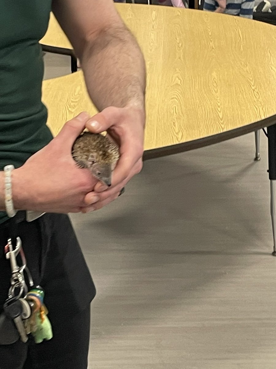 Mr. Booth tweet media