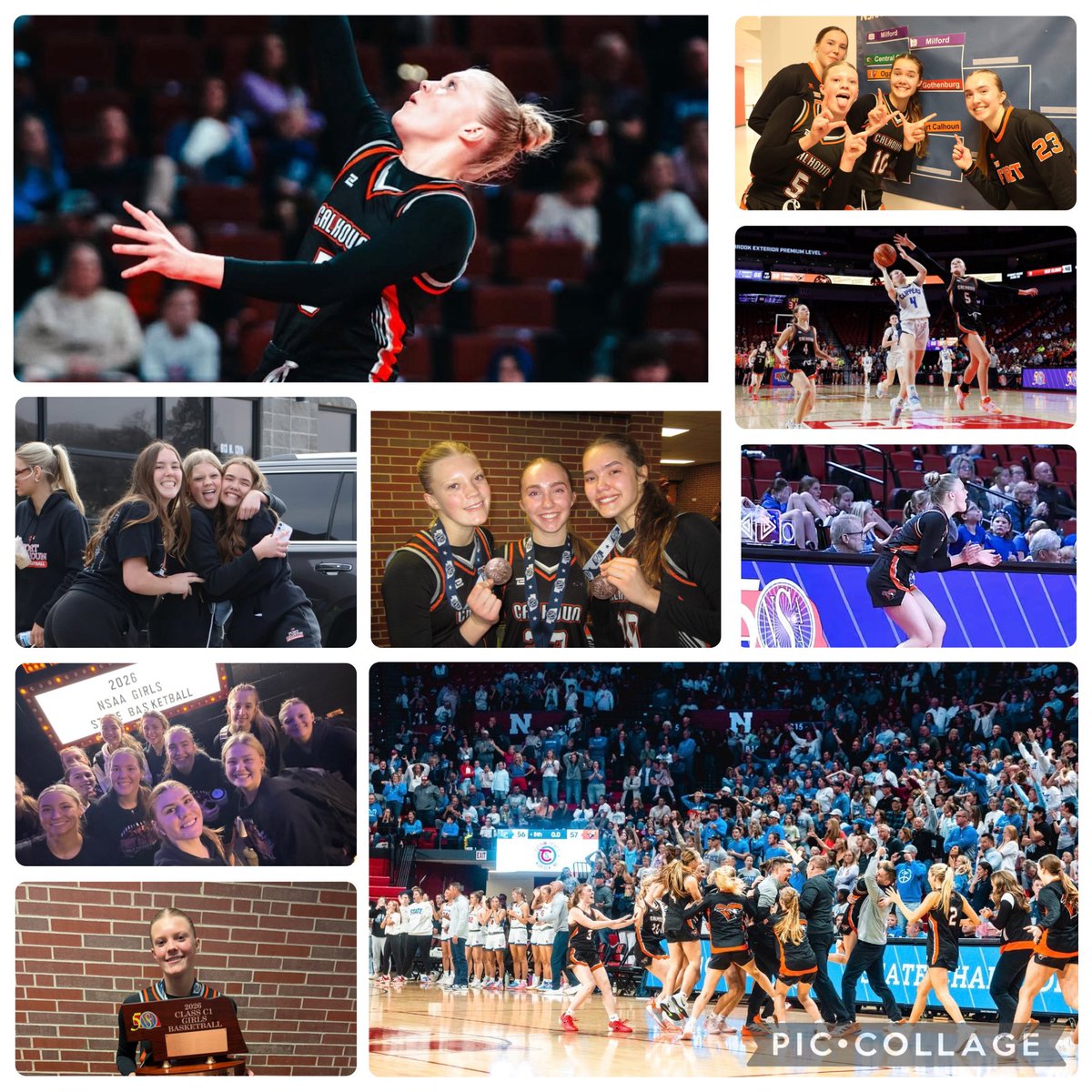 Dehlia Hallberg tweet media