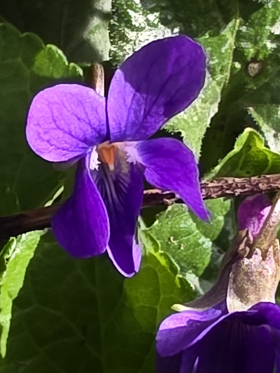 respecting nature tweet media