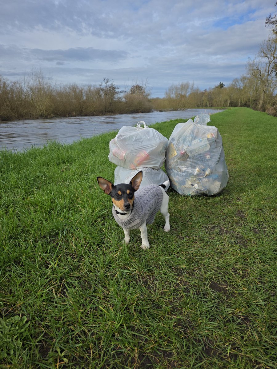 respecting nature tweet media