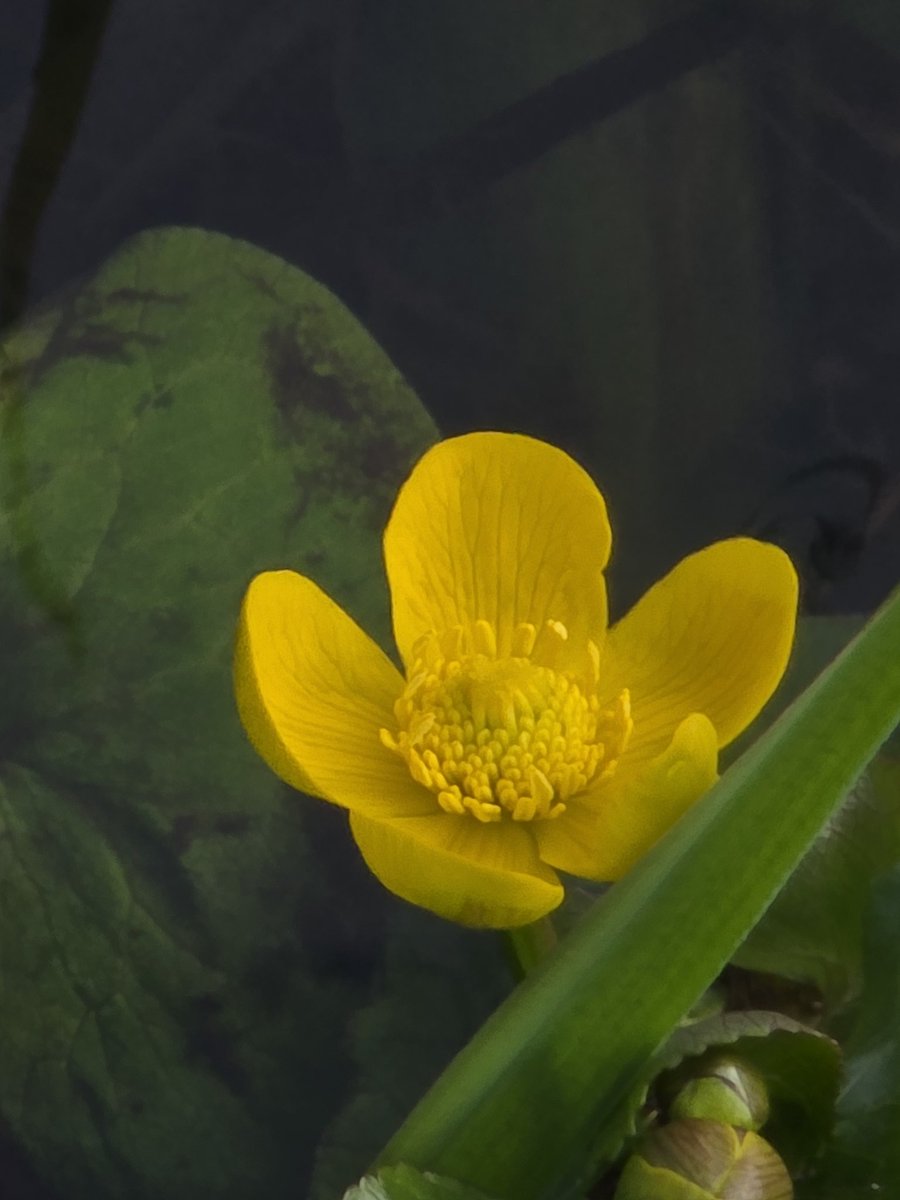 respecting nature tweet media