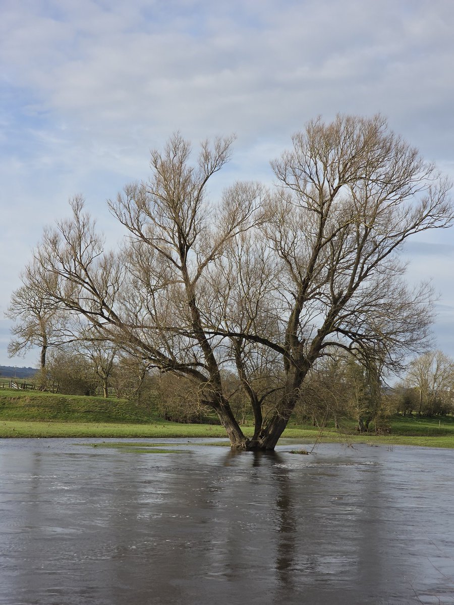 respecting nature tweet media