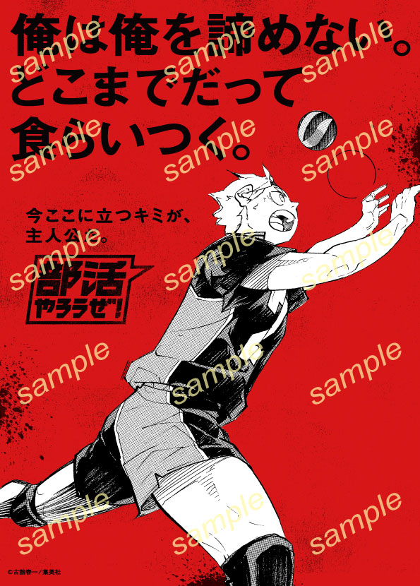s_manga_net's tweet photo. ／
#ハイキュー!! × #部活やろうぜ！
新規コラボビジュアルを公開中
＼

「今ここに立つキミが、主人公だ｡」

　PLAYER
　菅原孝支

#集英社マンガエキスポ
#集英社創業100周年 記念特設サイト
https://t.co/SXwKTZJbwY

@haikyu_com https://t.co/2j3GEGG0i5