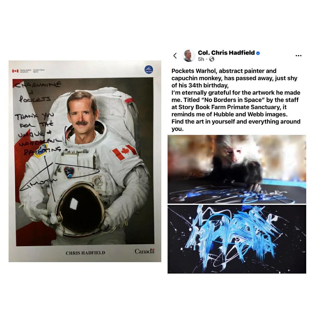 PocketsWarhol's tweet image. Sincere thanks from my muse to amazing astronaut Col. Chris Hadfield - former Commander of the International Space Station for this beautiful tribute &amp;amp; remembering me 🌌🐒🪽❤️#storybookmonkeys #rememberme #ChrisHadfield