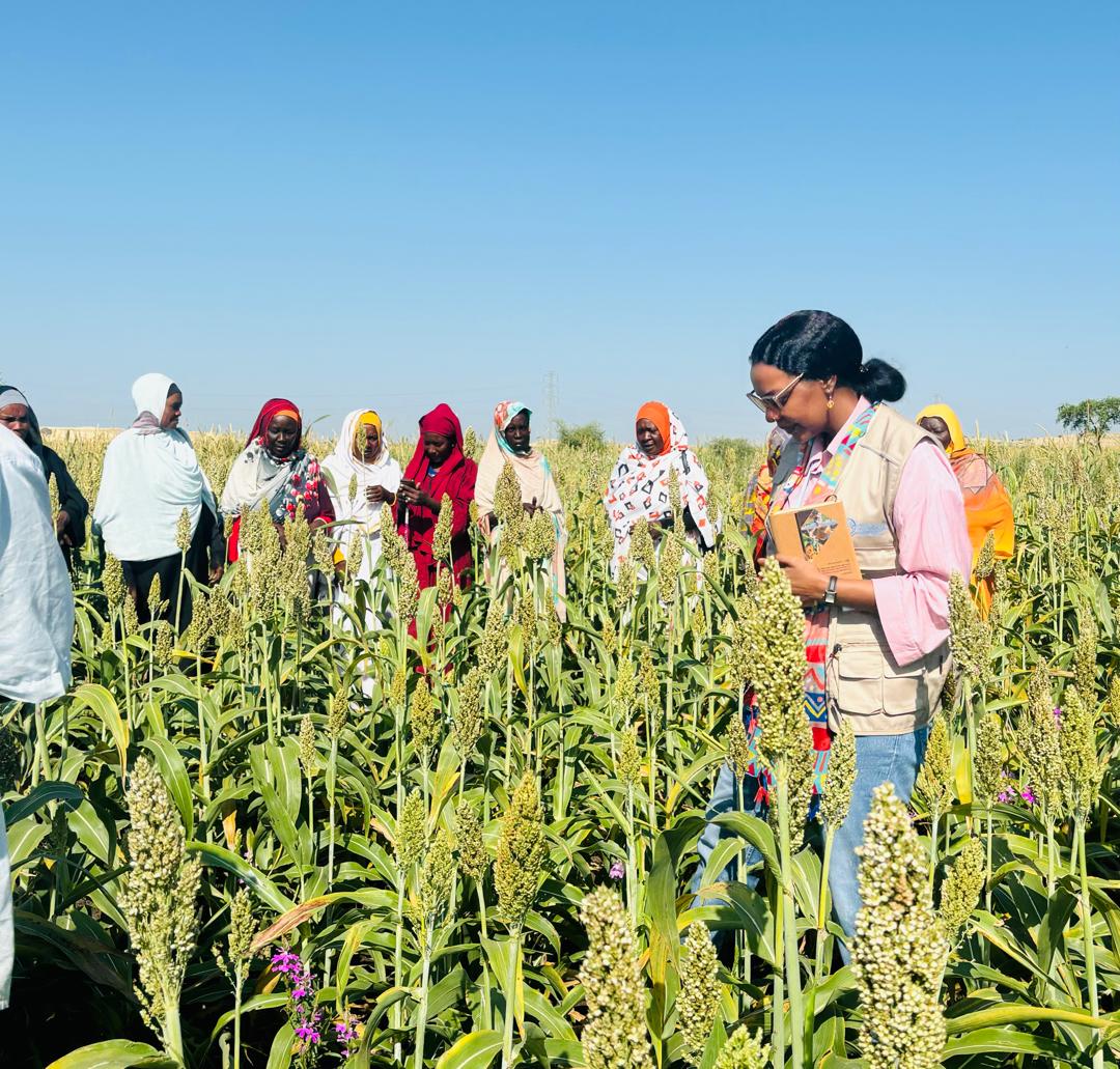FAOSudan tweet media