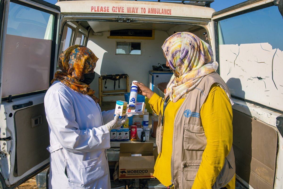 FAOSudan tweet media