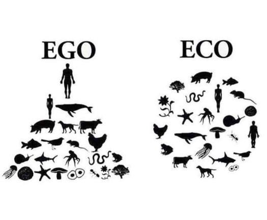 Hernán Giardini tweet media