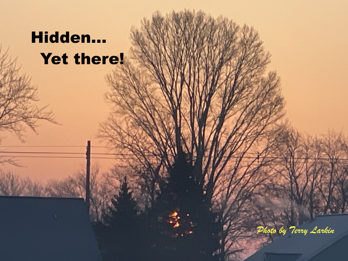 TheLightGAP's tweet photo. https://t.co/Zocs5BNYJO Sometimes it takes a special moment to NOTICE that our light is ALWAYS there...it does not come and go! Enjoy our stories of noticing signs put in front of us! #HiddenTruths #light #DivineIntervention https://t.co/BpvahDeCc1