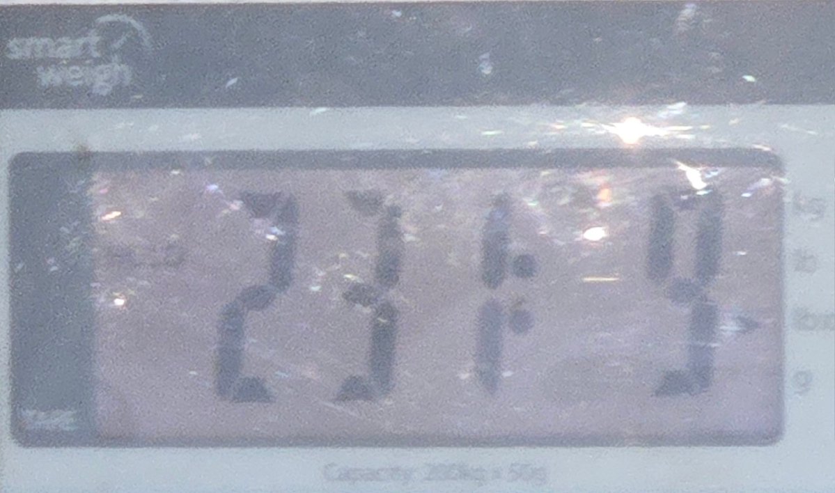 Greg - Builder of Many Things tweet media