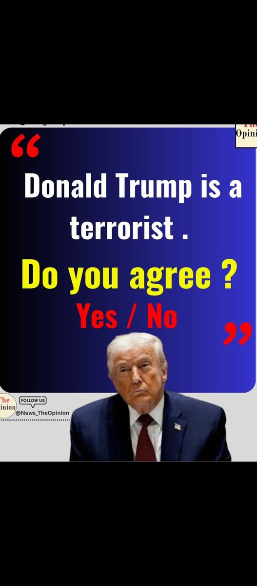 HABIB BUZER tweet media