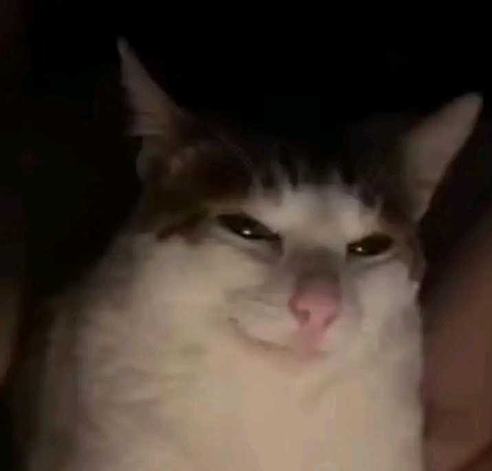 Kim_Chi 🥬🌶️ tweet media