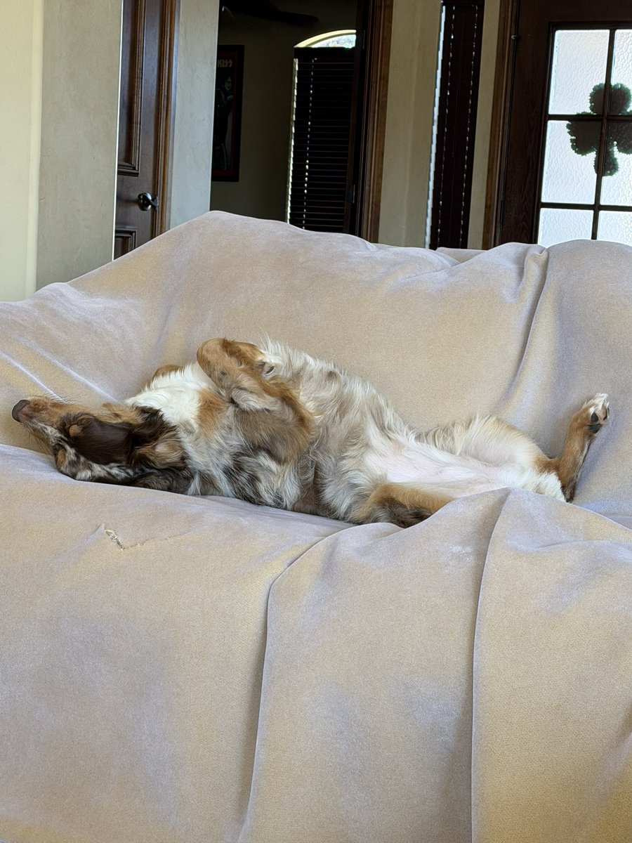 mikaylasmithwx's tweet image. Nimbus is taking that lost hour of sleep personally. Anyone else sneaking in a nap this afternoon? #okc #DaylightSavingTime