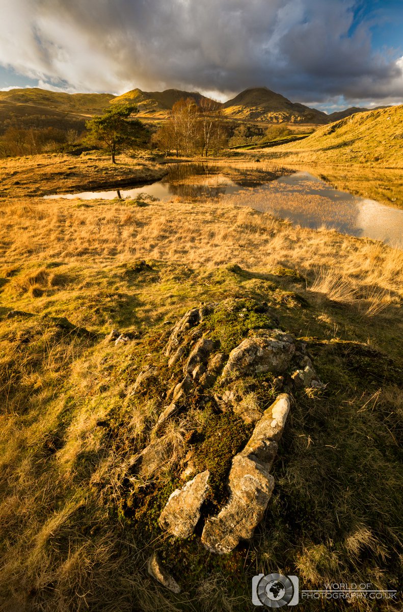 World Of Photography tweet media