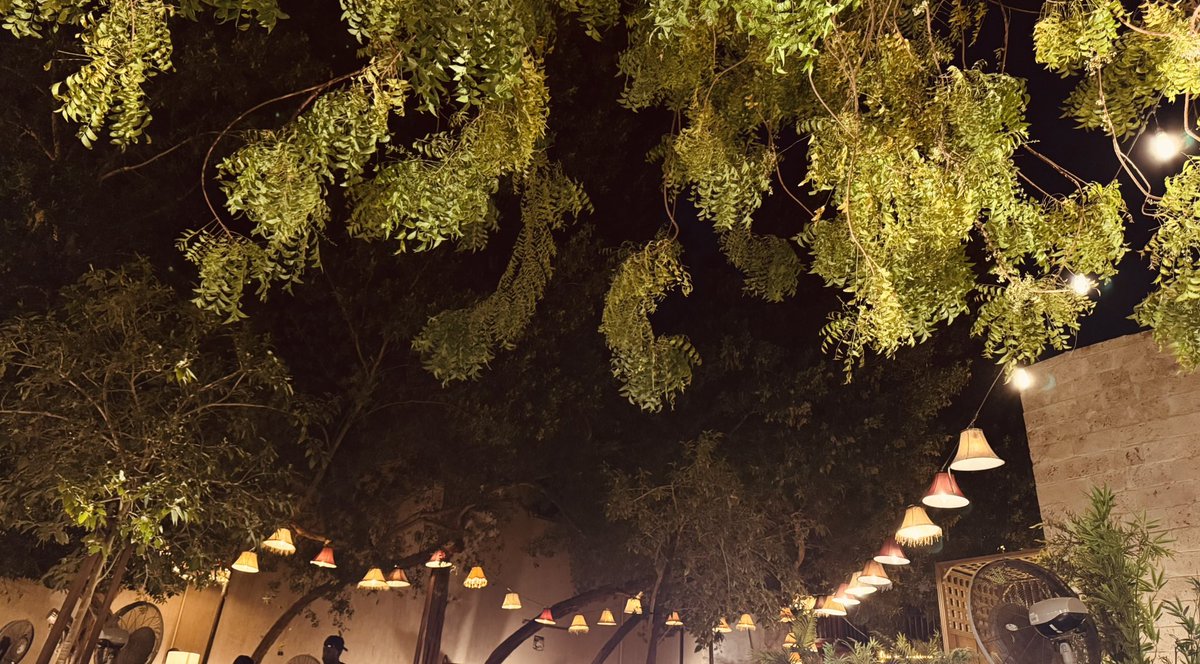 Heliophilia tweet media