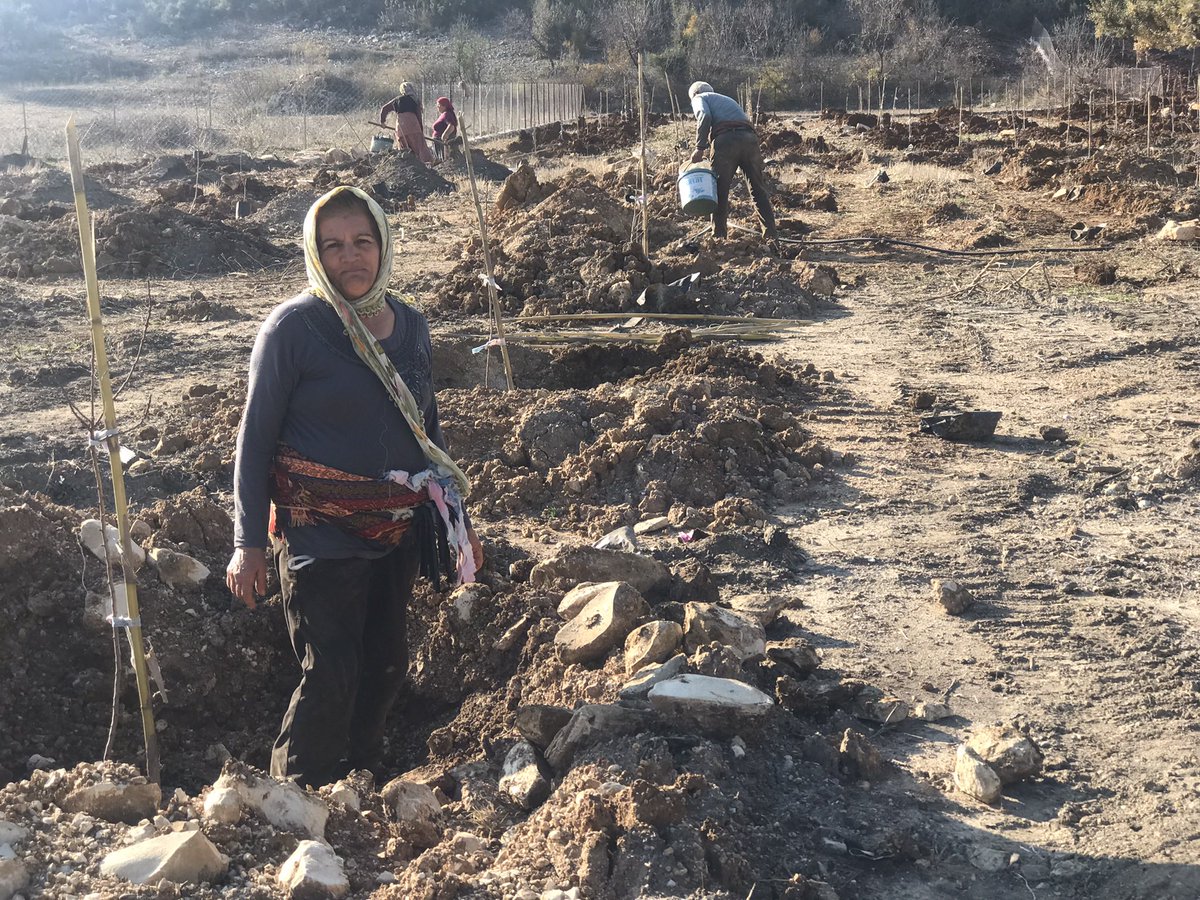 Hüseyin Eroğlu tweet media