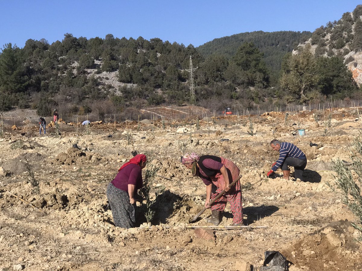 Hüseyin Eroğlu tweet media