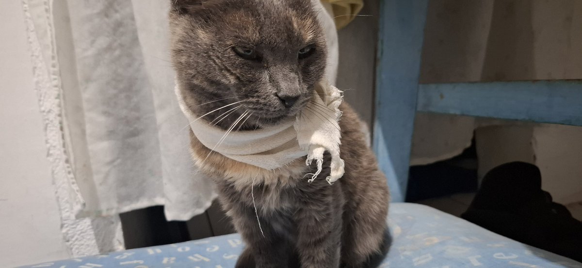 Si que son muchos jeje