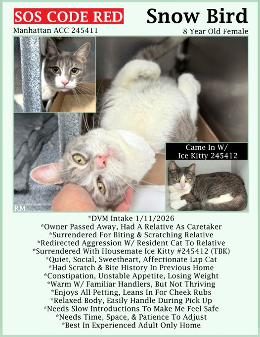 Renee' Martin tweet media