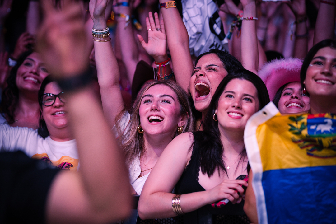 Festival Río Babel tweet media