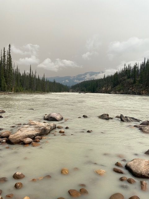 Information Matters tweet media