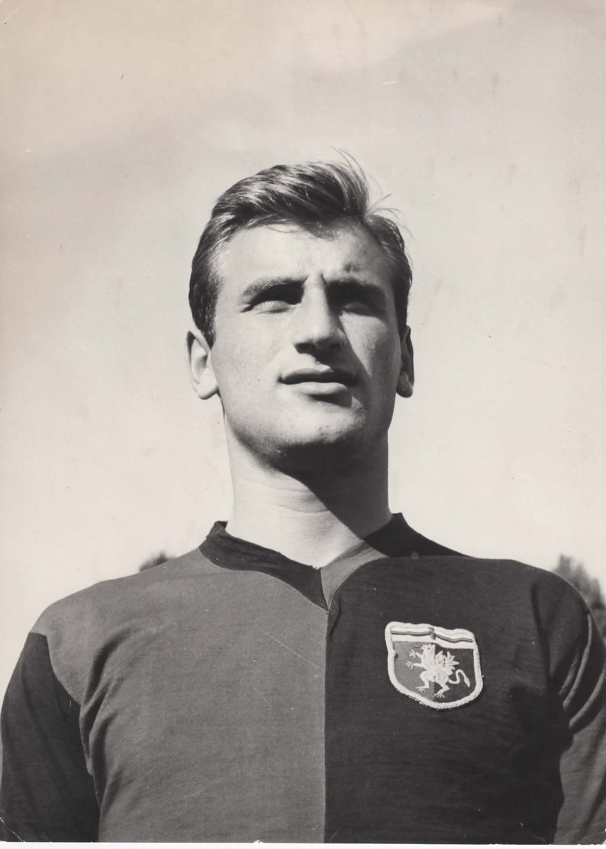 Zena. ❤️💙

#PaoloBarison