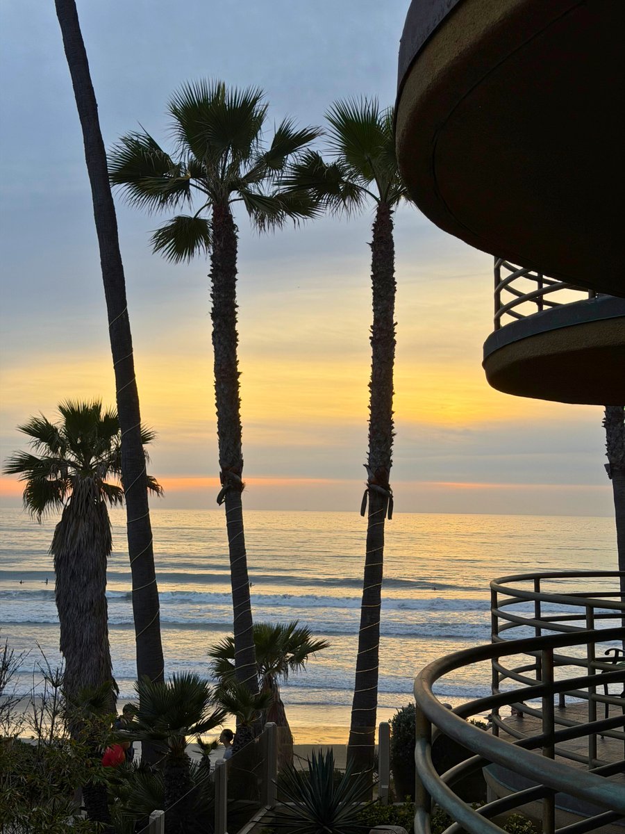 Pacific Terrace Hotel tweet media