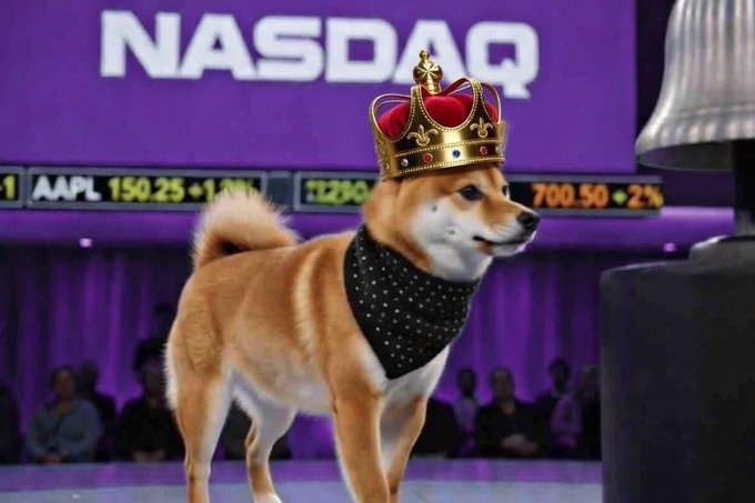 raxoox 🌑 tweet media