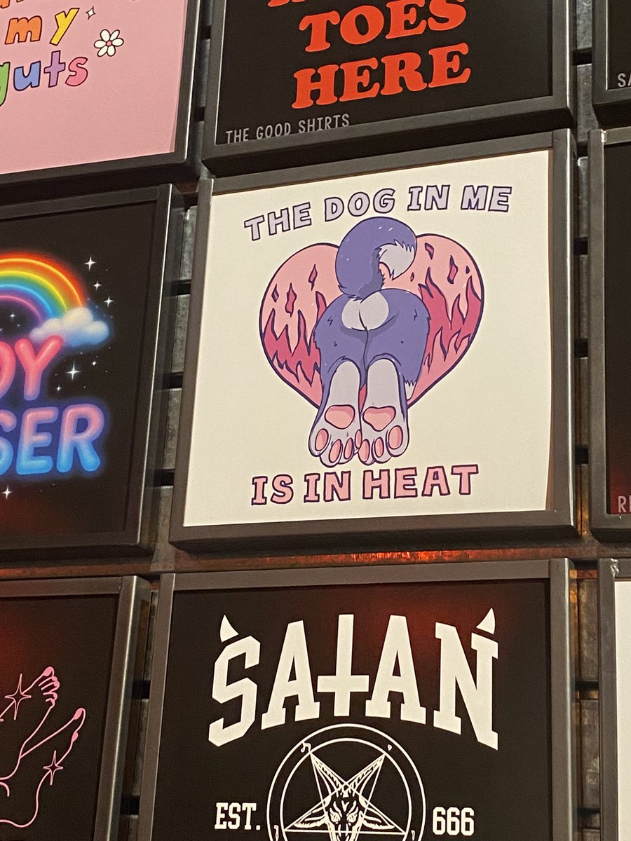 Aspen Woofington P. tweet media