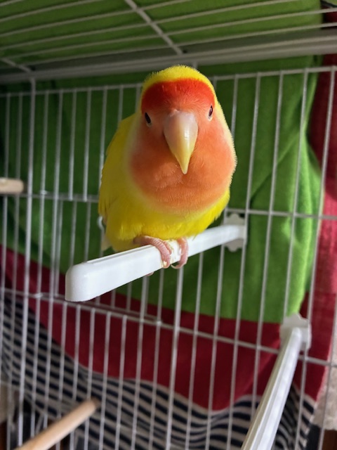 👾-Main_8Bit-🎮 tweet media