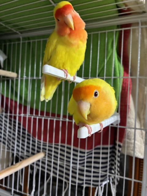 👾-Main_8Bit-🎮 tweet media