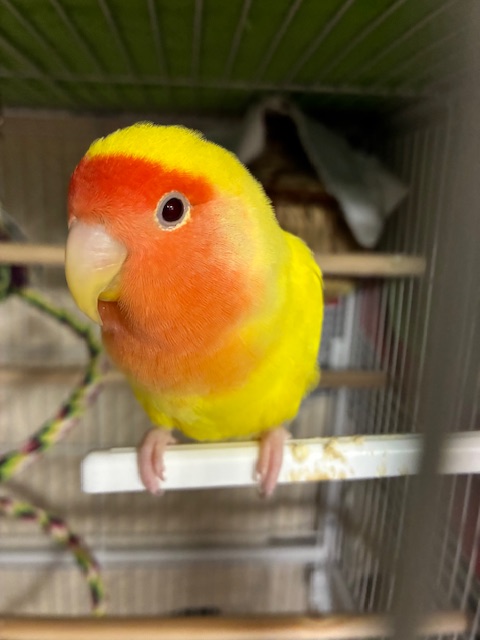 👾-Main_8Bit-🎮 tweet media