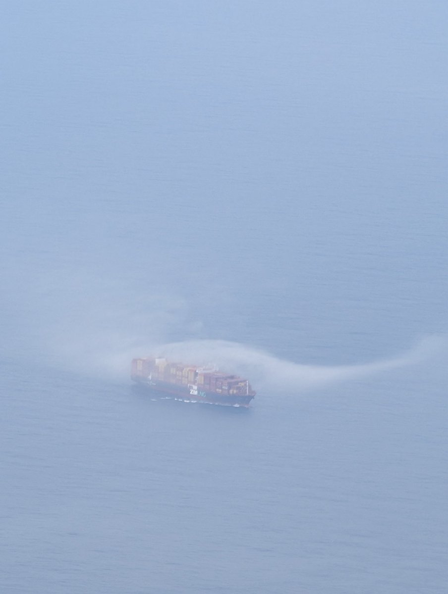 Justin Manikas tweet media