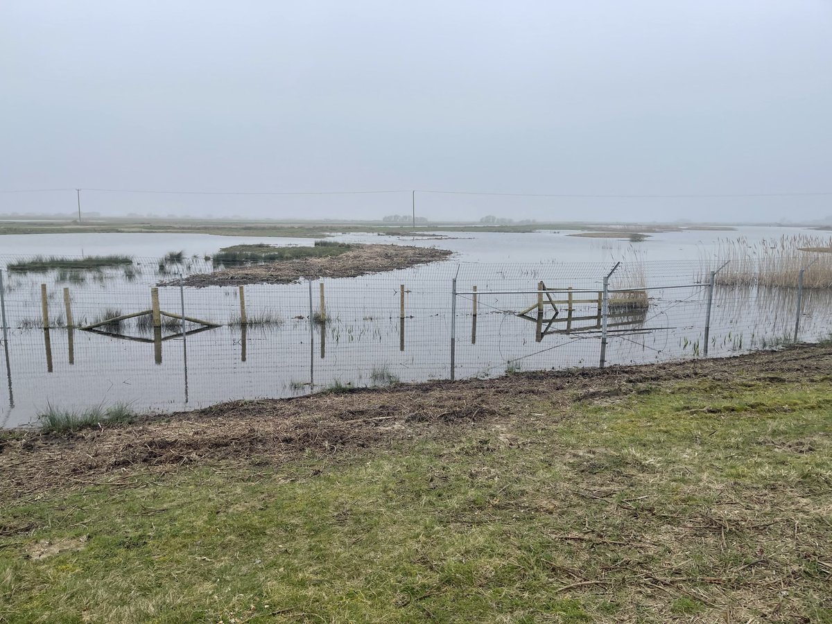 Neil Burt tweet media