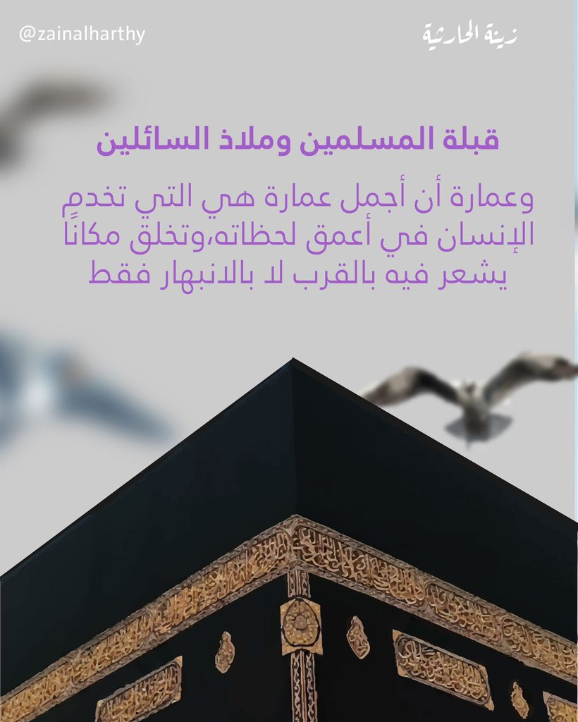 زينة الحارثية tweet media