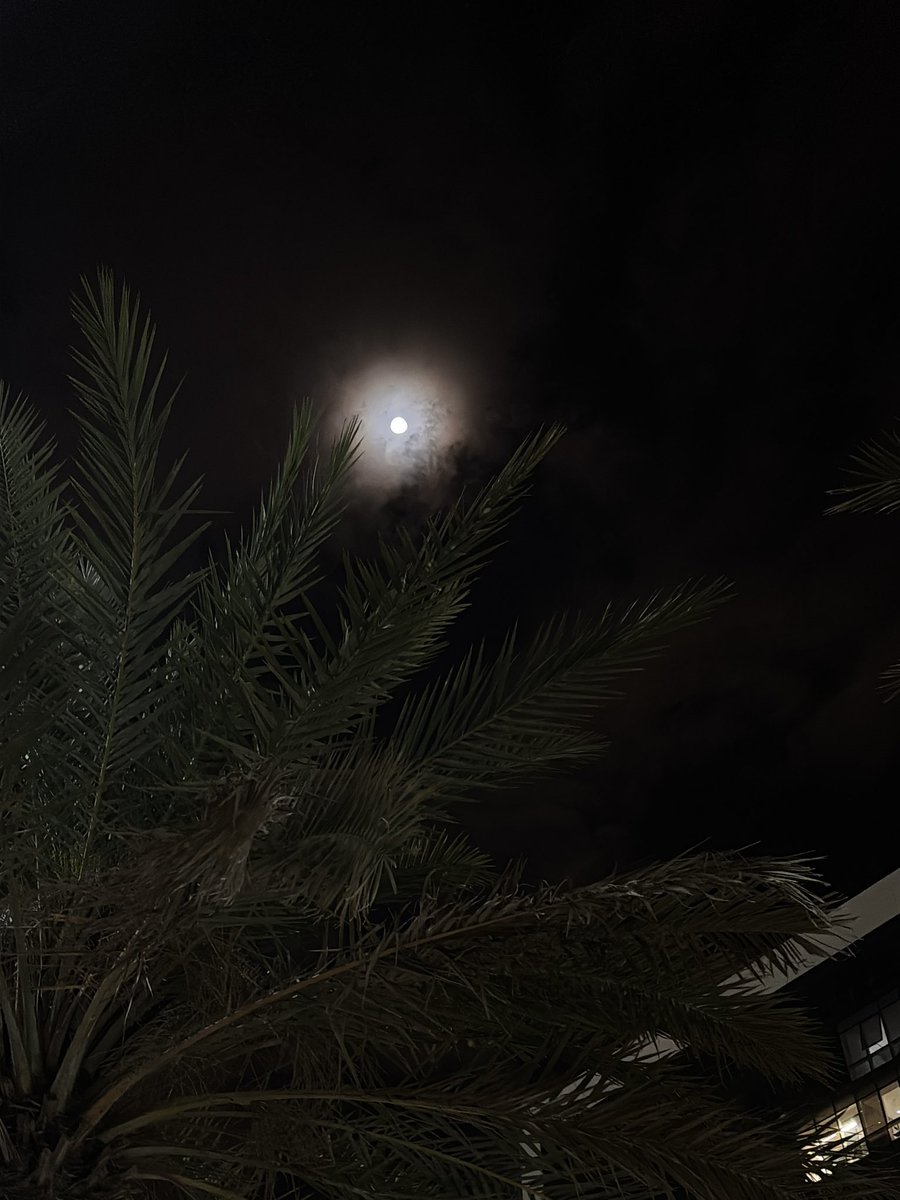 رايـڤن tweet media