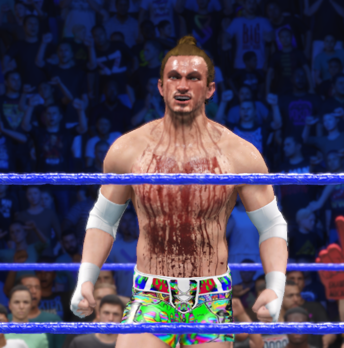 Super Smash Bros Wrestling tweet media