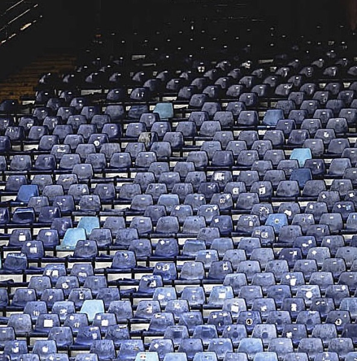 Andrea Dominix ASR tweet media